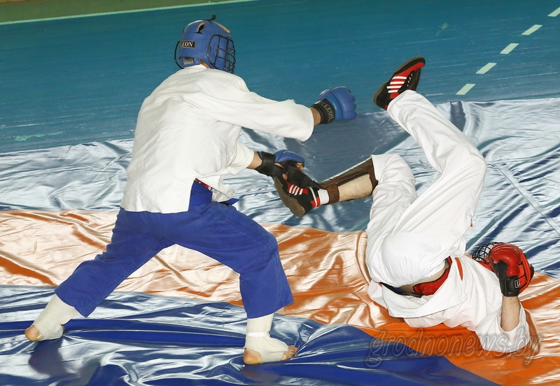 DPP_28087.JPG