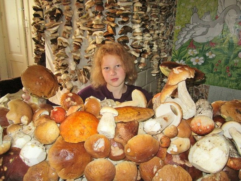 Праздник грибов.jpg Праздник грибов.jpg