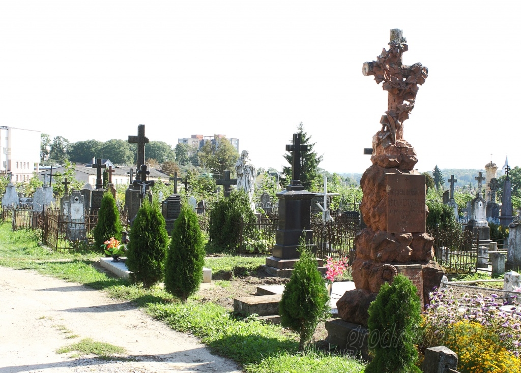 DPP_36357.JPG