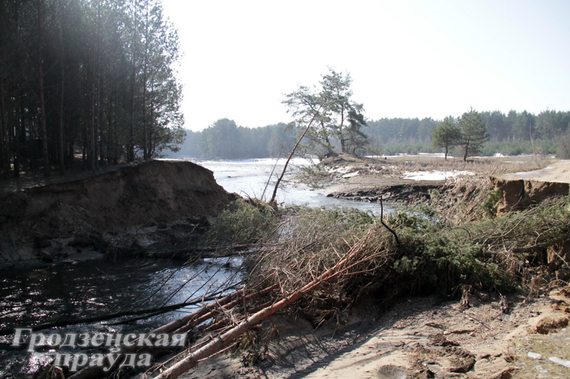 Возле деревни Гожа Гродненского района "убежало" озеро (ФОТО) Возле деревни Гожа Гродненского района "убежало" озеро (ФОТО)