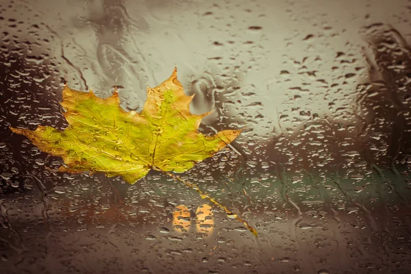 depositphotos_124867166-stock-photo-fallen-yellow-leaf-and-rain.jpg