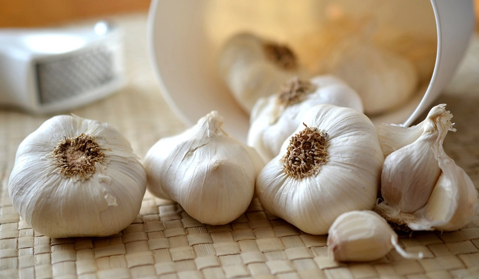 tild3131-6333-4532-b633-393336363938__garlic-545223_1280.jpg