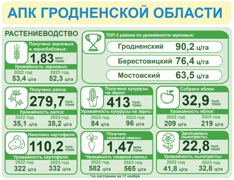 рояпити.JPG