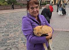 Усатый эксклюзив! Кот Рыжий из Гродно - звезда соцсетей