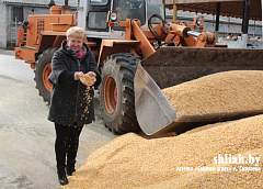 Сельское хозяйство кормит нас качественной и натуральной продукцией – и о работе на земле не может быть пренебрежительных слов