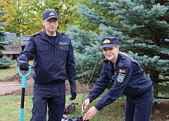 Сотрудники управления Следственного комитета по Гродненской области заложили новую аллею в Гродно