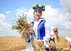 Шествие, выставки, концерты, "ТракторШОУ". Какой будет программа фестиваля "Дажынкі" в Волковыске