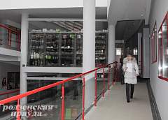 Почему покупатели уходят с рынков в торговые центры?