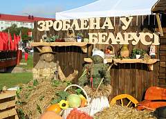 Волковыск на пороге грандиозного события – областного фестиваля-ярмарки тружеников села «Дажынкі-2025»